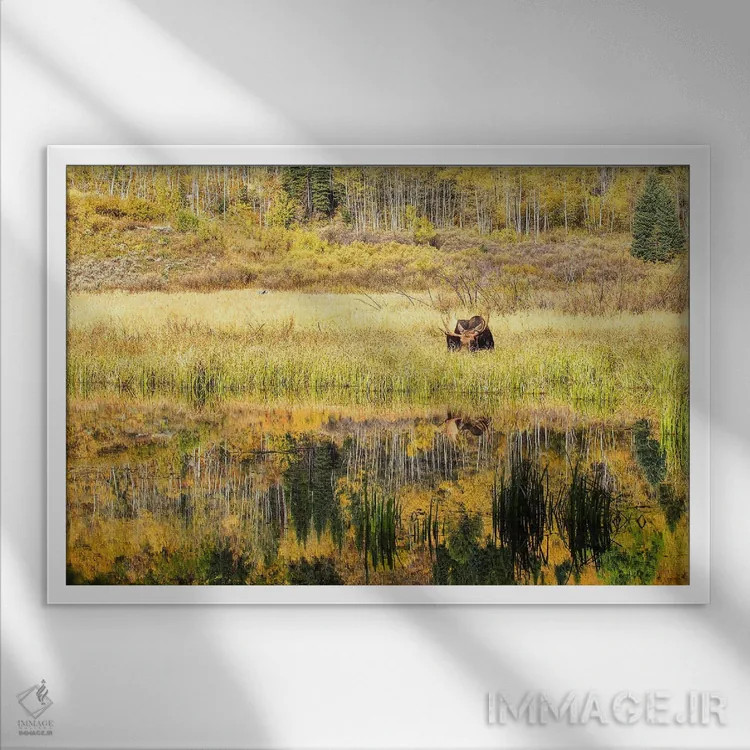 تابلو گوزن پاییزی مخفیکار اثر بنجامین پاجت - نمای قابدار سفید