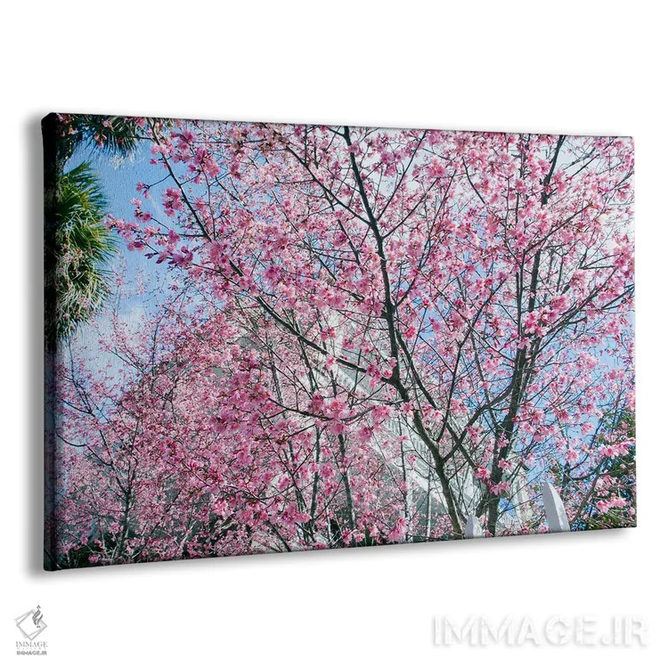 تابلو شکوفههای گیلاس چارلستون اثر بنجامین پاجت - نمای پرسپکتیو محصول