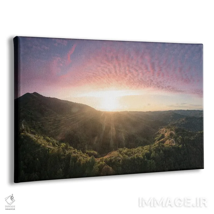 تابلو درخشش تابستانی II اثر استیو برکلی - نمای پرسپکتیو محصول