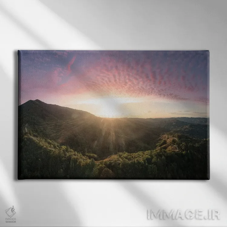 تابلو درخشش تابستانی II اثر استیو برکلی - نمای روبهرو روی دیوار