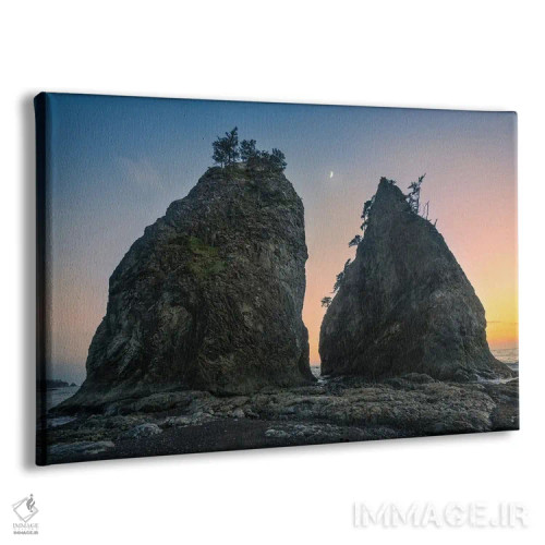 تابلو دوقلوها در ریالتو اثر استیو برکلی - نمای پرسپکتیو محصول