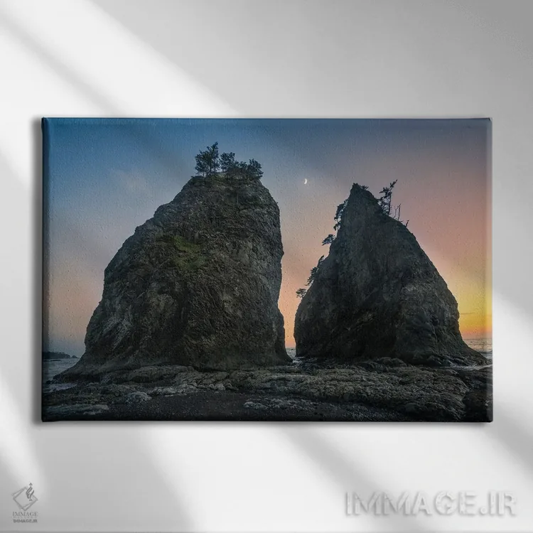 تابلو دوقلوها در ریالتو اثر استیو برکلی - نمای روبهرو روی دیوار