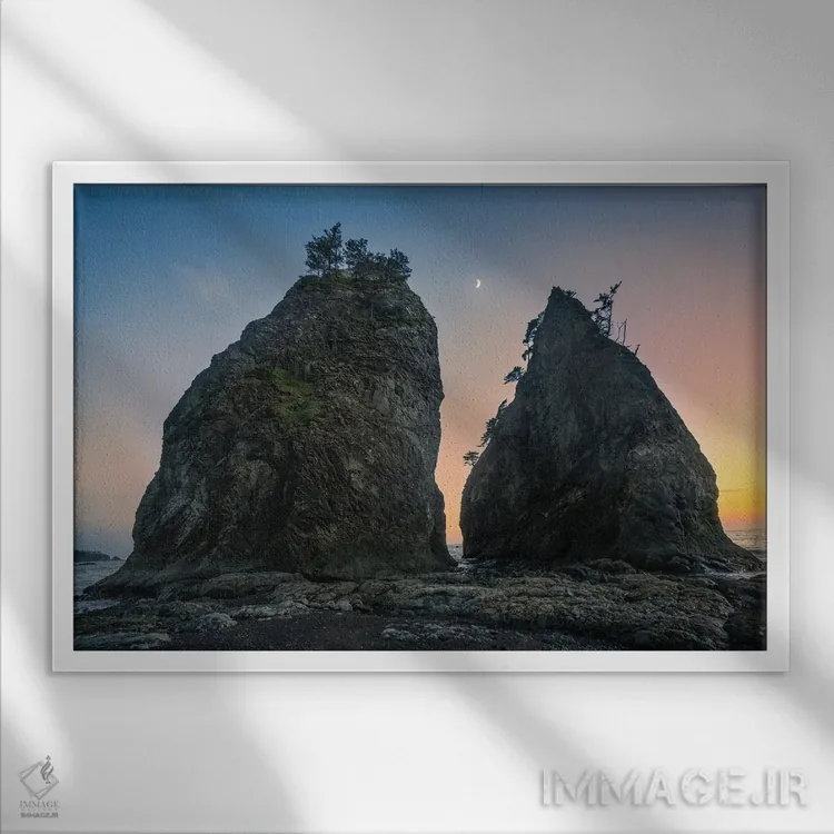 تابلو دوقلوها در ریالتو اثر استیو برکلی - نمای قابدار سفید