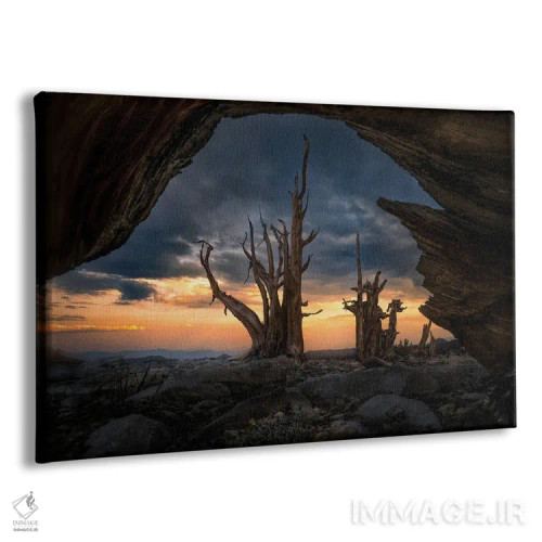 تابلو باستانی اثر استیو برکلی - نمای پرسپکتیو محصول