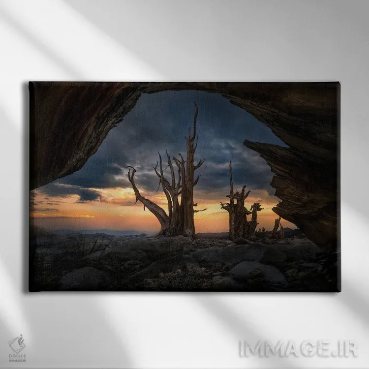 تابلو باستانی اثر استیو برکلی - نمای روبهرو روی دیوار