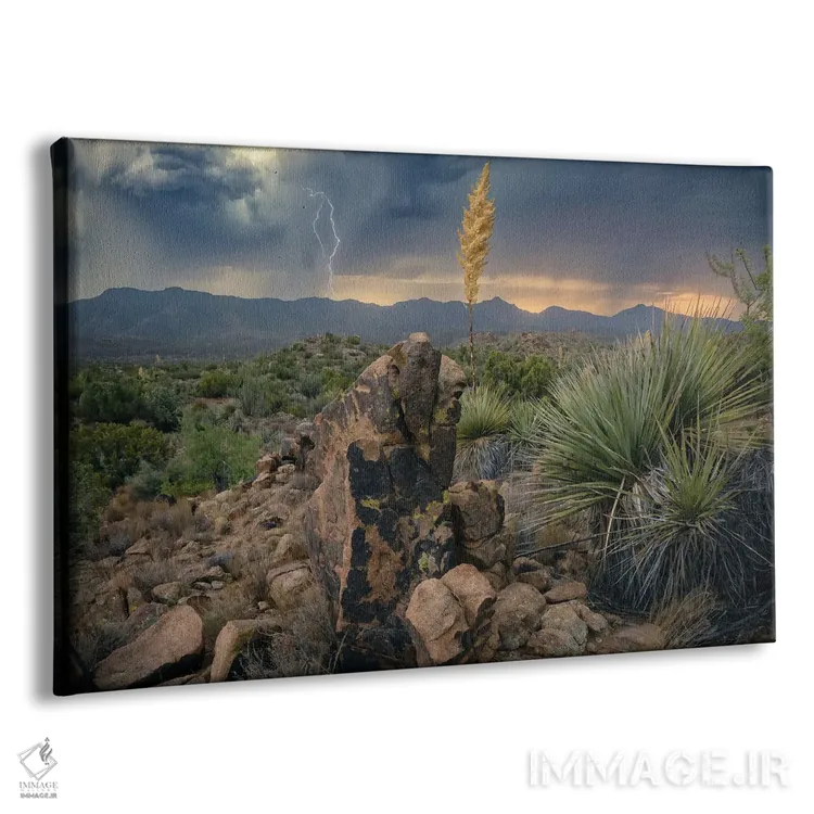 تابلو عنصری آریزونا III اثر استیو برکلی - نمای پرسپکتیو محصول