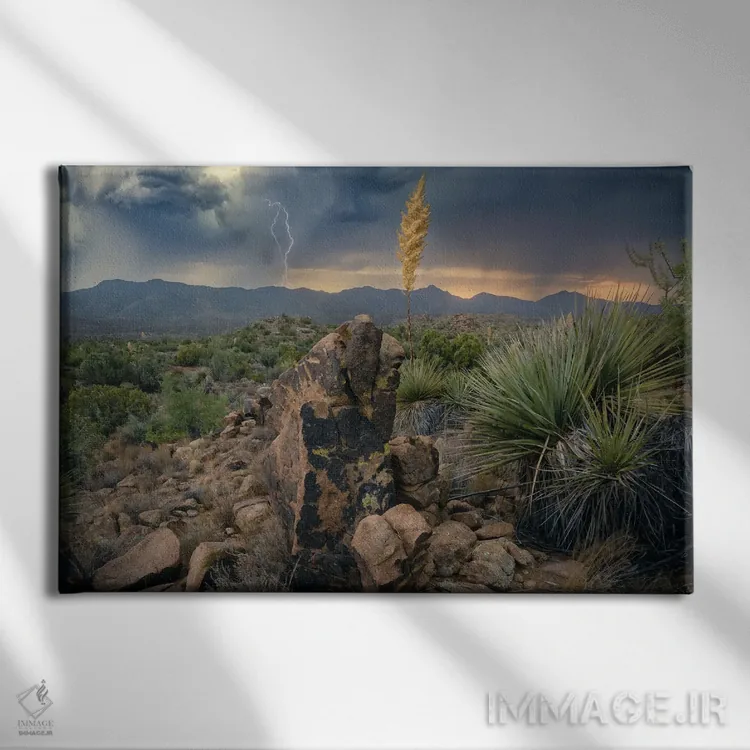 تابلو عنصری آریزونا III اثر استیو برکلی - نمای روبهرو روی دیوار