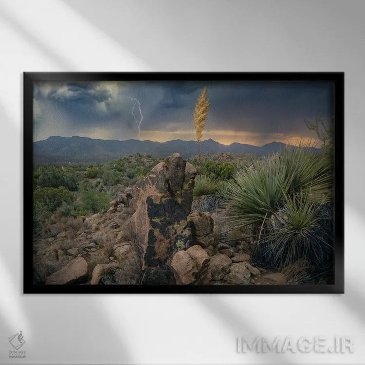 تابلو عنصری آریزونا III اثر استیو برکلی - نمای قابدار مشکی