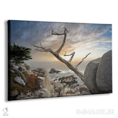 تابلو درخت ارواح اثر استیو برکلی - نمای پرسپکتیو محصول