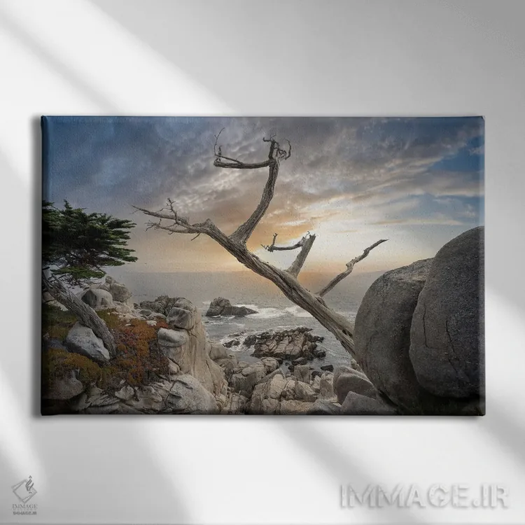 تابلو درخت ارواح اثر استیو برکلی - نمای روبهرو روی دیوار