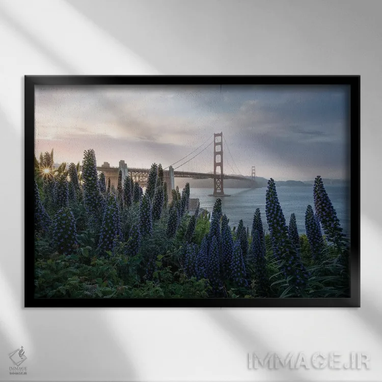 تابلو گلدن گیت در پریسیدیو اثر استیو برکلی - نمای قابدار مشکی