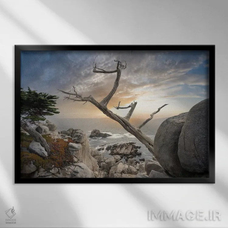 تابلو درخت ارواح اثر استیو برکلی - نمای قابدار مشکی