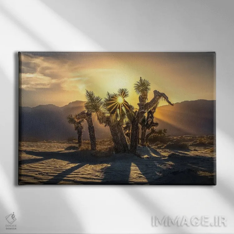 تابلو درخت یوشوا اثر استیو برکلی - نمای روبهرو روی دیوار