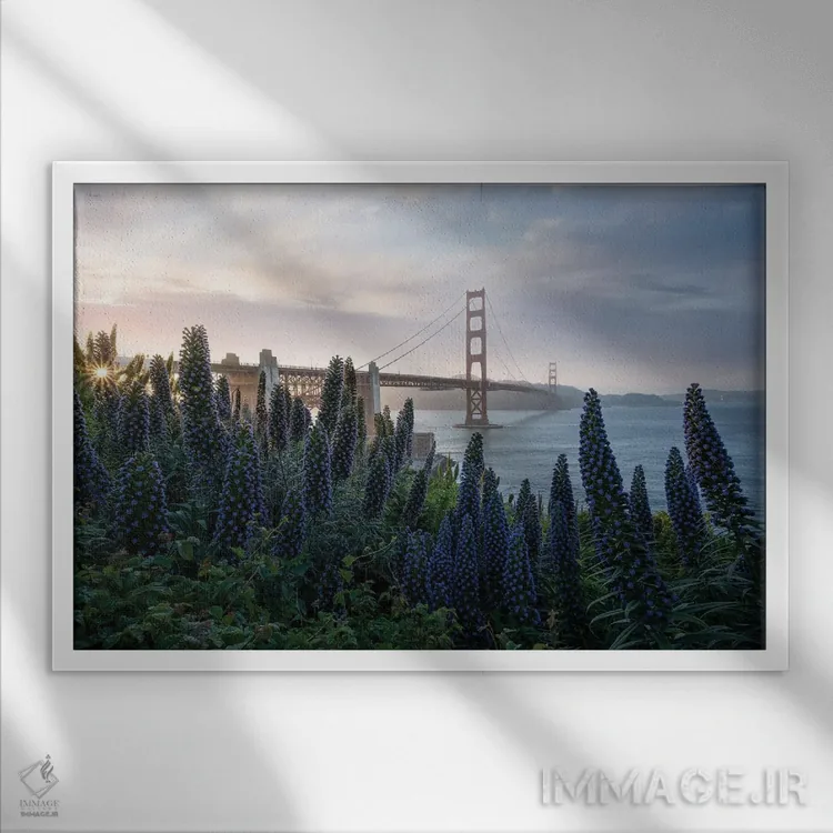 تابلو گلدن گیت در پریسیدیو اثر استیو برکلی - نمای قابدار سفید