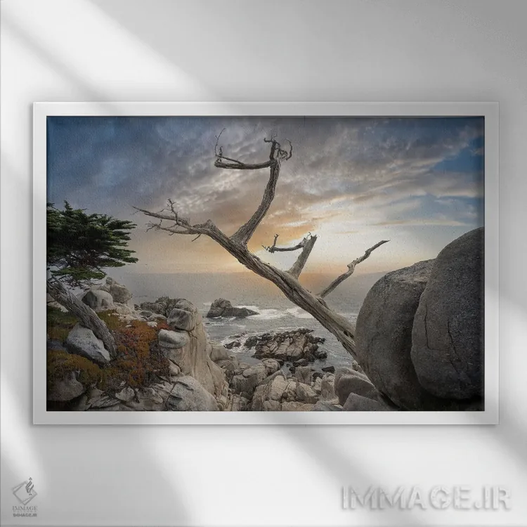 تابلو درخت ارواح اثر استیو برکلی - نمای قابدار سفید