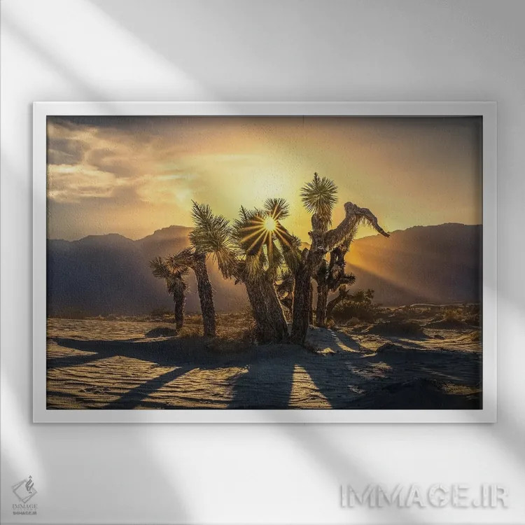 تابلو درخت یوشوا اثر استیو برکلی - نمای قابدار سفید