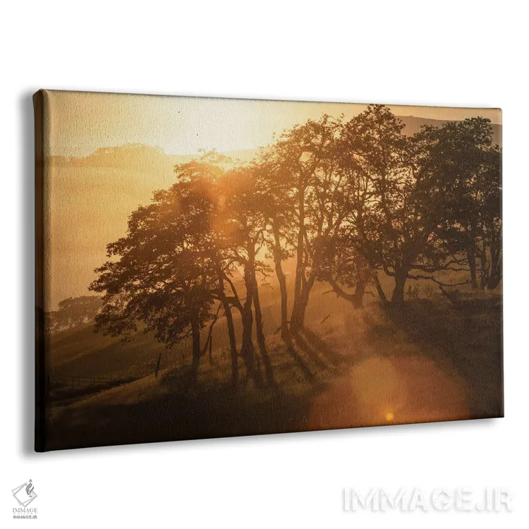 تابلو تپههای بیدرخت اثر استیو برکلی - نمای پرسپکتیو محصول