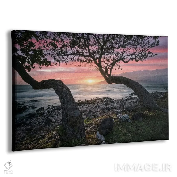 تابلو غروب مائوئی اثر استیو برکلی - نمای پرسپکتیو محصول