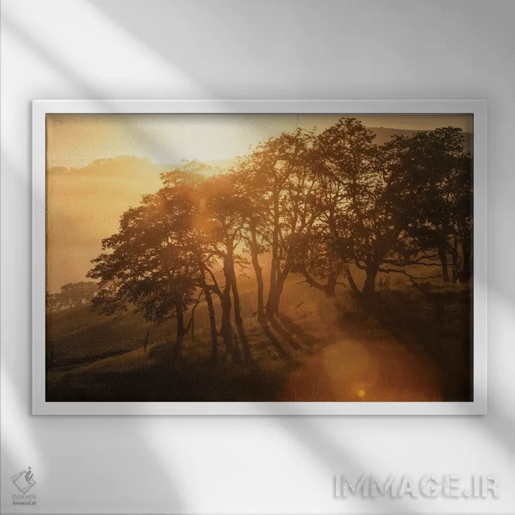 تابلو تپههای بیدرخت اثر استیو برکلی - نمای قابدار سفید