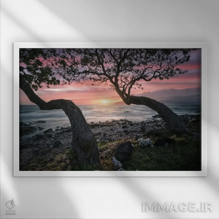 تابلو غروب مائوئی اثر استیو برکلی - نمای قابدار سفید