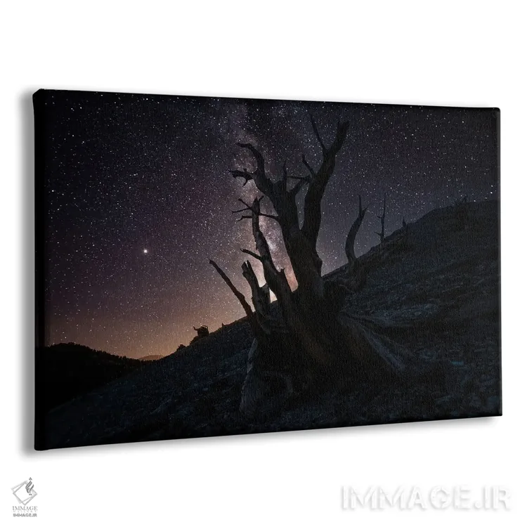 تابلو هزارهها II اثر استیو برکلی - نمای پرسپکتیو محصول