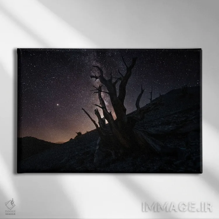 تابلو هزارهها II اثر استیو برکلی - نمای روبهرو روی دیوار