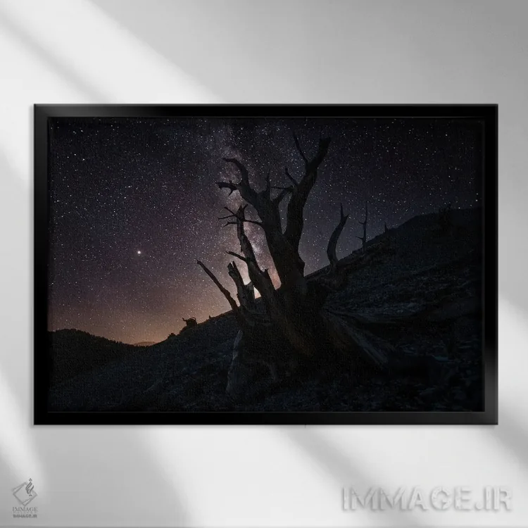 تابلو هزارهها II اثر استیو برکلی - نمای قابدار مشکی