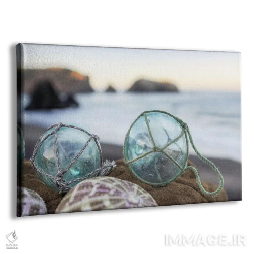 تابلو صدفهای ساحل هلالی XVI اثر آلن بلاوشتاین - نمای پرسپکتیو محصول