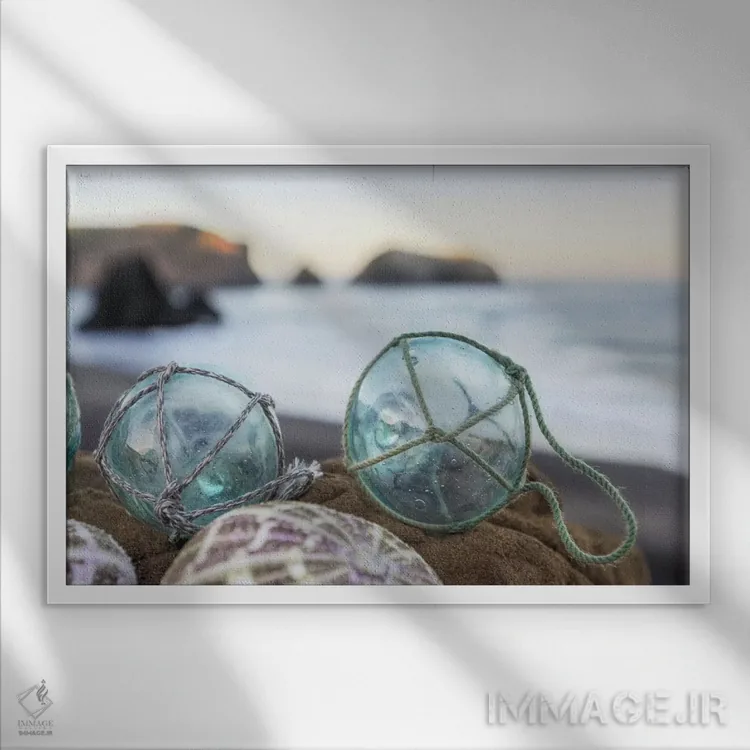 تابلو صدفهای ساحل هلالی XVI اثر آلن بلاوشتاین - نمای قابدار سفید