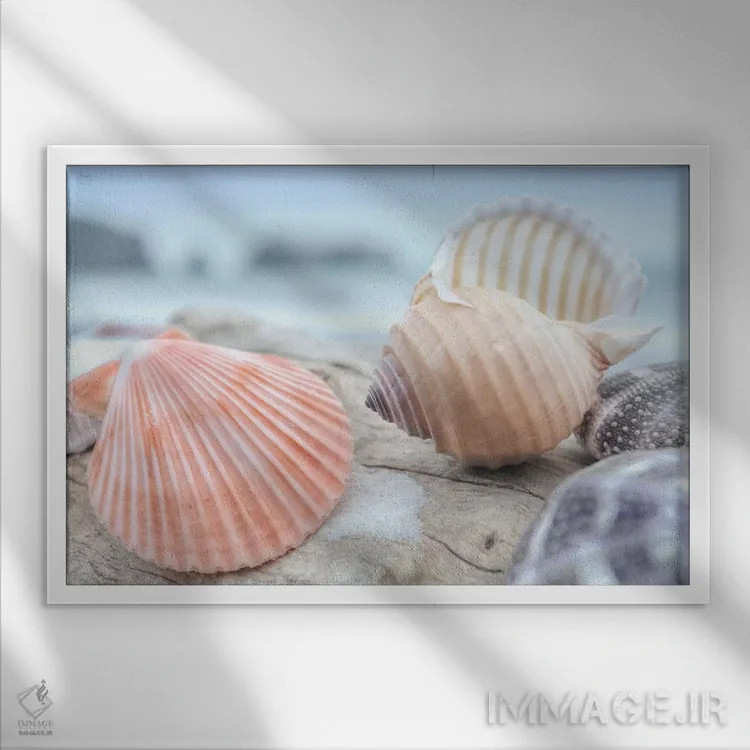 تابلو صدفهای ساحل هلالی X اثر آلن بلاوشتاین - نمای قابدار سفید