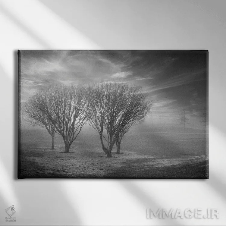 تابلو مجموعه بلوط ساحلی XLII اثر آلن بلاوشتاین - نمای روبهرو روی دیوار