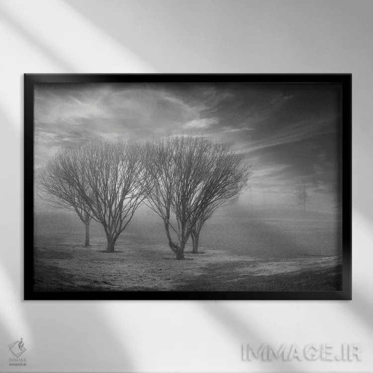 تابلو مجموعه بلوط ساحلی XLII اثر آلن بلاوشتاین - نمای قابدار مشکی