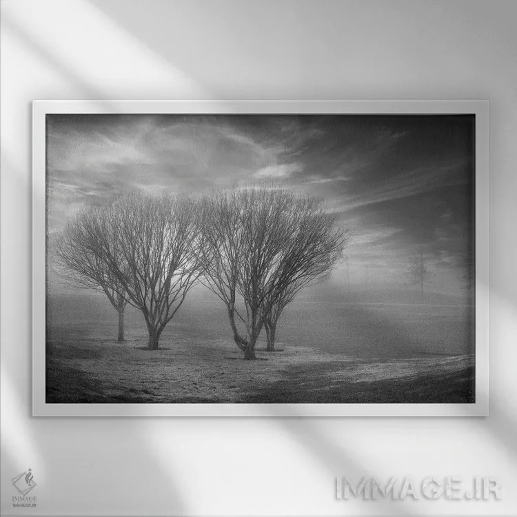 تابلو مجموعه بلوط ساحلی XLII اثر آلن بلاوشتاین - نمای قابدار سفید