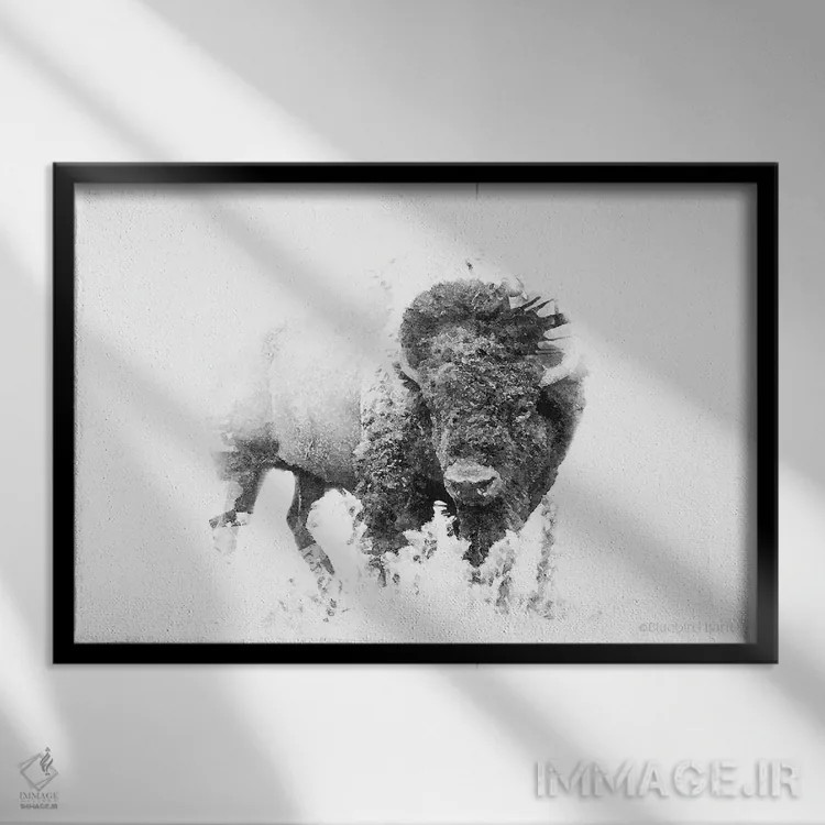 تابلو گاومیش مینیمال برجسته اثر بلوبرد بارن (استودیوی هنری) - نمای قابدار مشکی