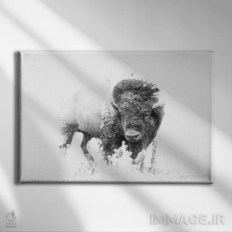 تابلو گاومیش مینیمال برجسته اثر بلوبرد بارن (استودیوی هنری) - نمای روبهرو روی دیوار