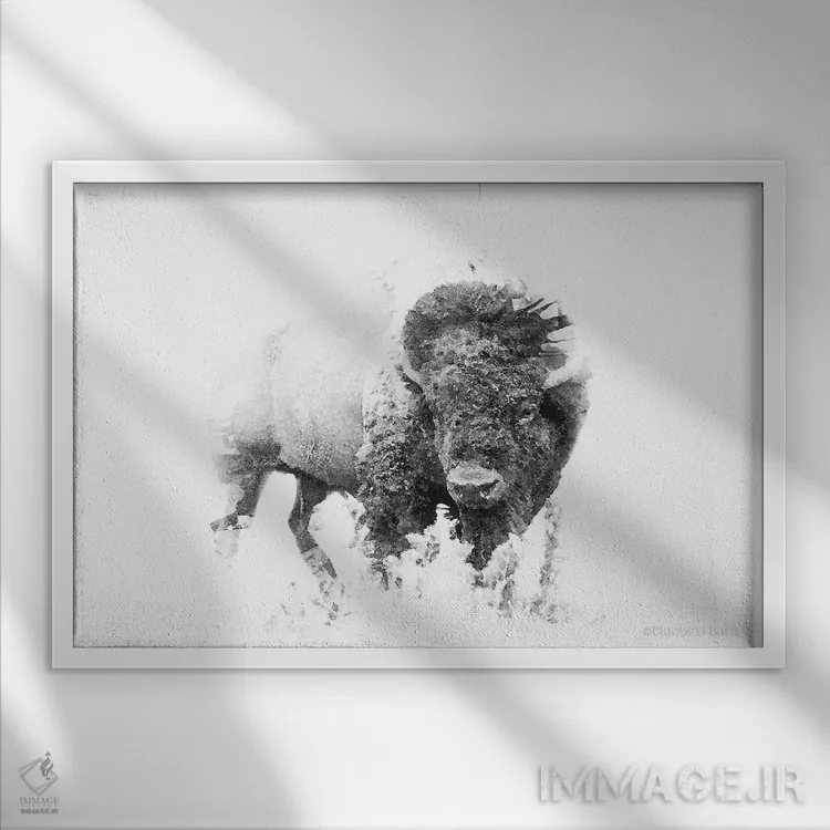 تابلو گاومیش مینیمال برجسته اثر بلوبرد بارن (استودیوی هنری) - نمای قابدار سفید