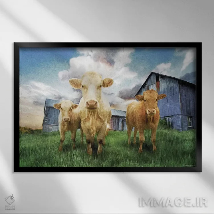 تابلو سه گوساله کنجکاو اثر بلوبرد بارن (استودیوی هنری) - نمای قابدار مشکی