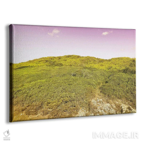 تابلو طبیعت وحشی اثر بلی - نمای پرسپکتیو محصول