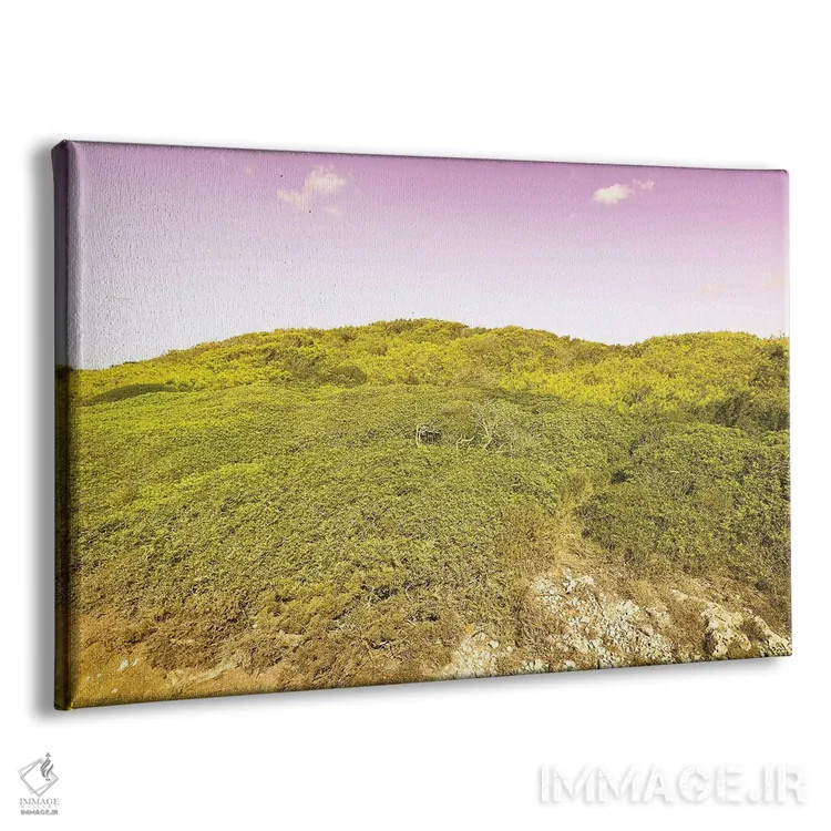 تابلو طبیعت وحشی اثر بلی - نمای پرسپکتیو محصول