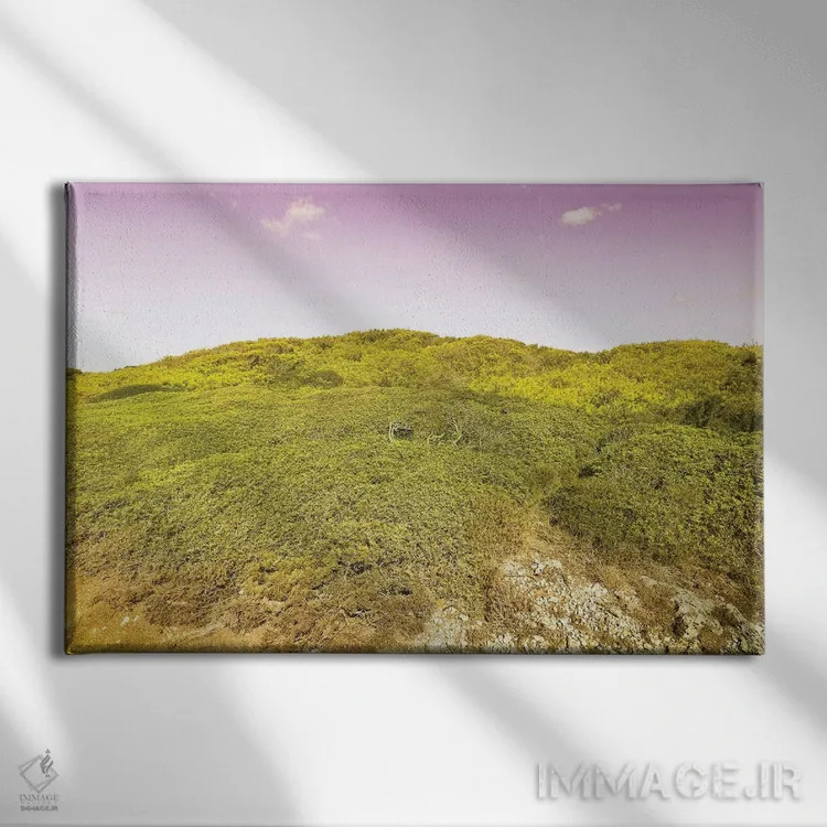 تابلو طبیعت وحشی اثر بلی - نمای روبهرو روی دیوار