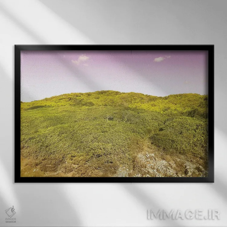 تابلو طبیعت وحشی اثر بلی - نمای قابدار مشکی