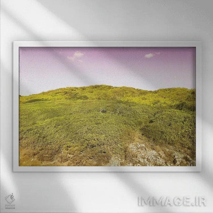 تابلو طبیعت وحشی اثر بلی - نمای قابدار سفید