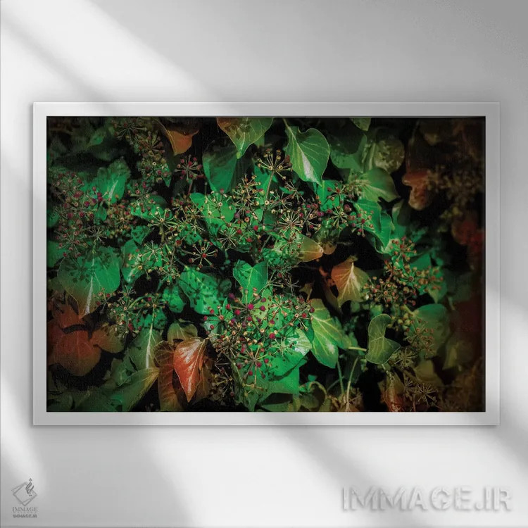 تابلو برگهای پاییزی اثر بلی - نمای قابدار سفید