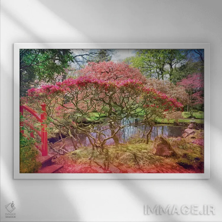 تابلو باغ و برکه ژاپنی اثر بلی - نمای قابدار سفید