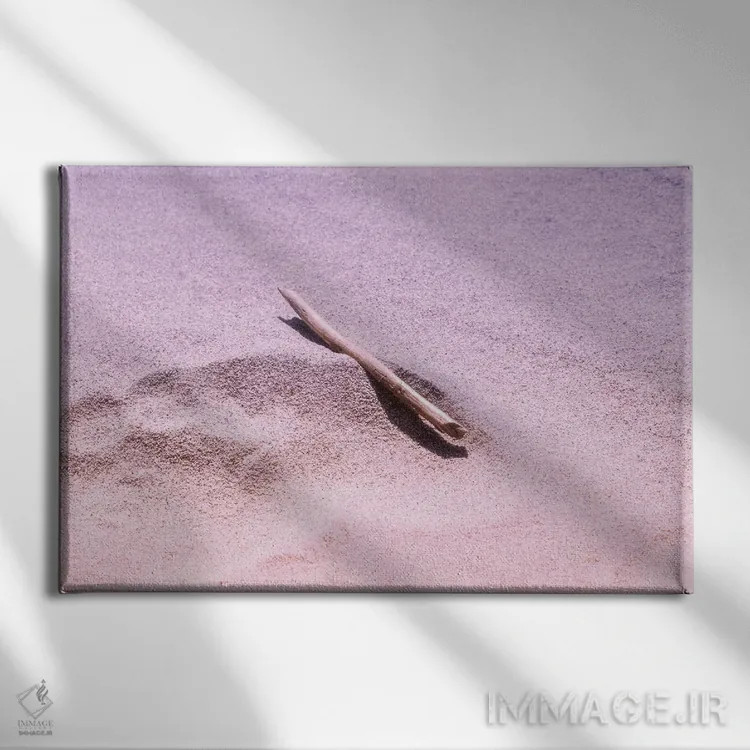 تابلو ساحل شنی اثر بلی - نمای روبهرو روی دیوار