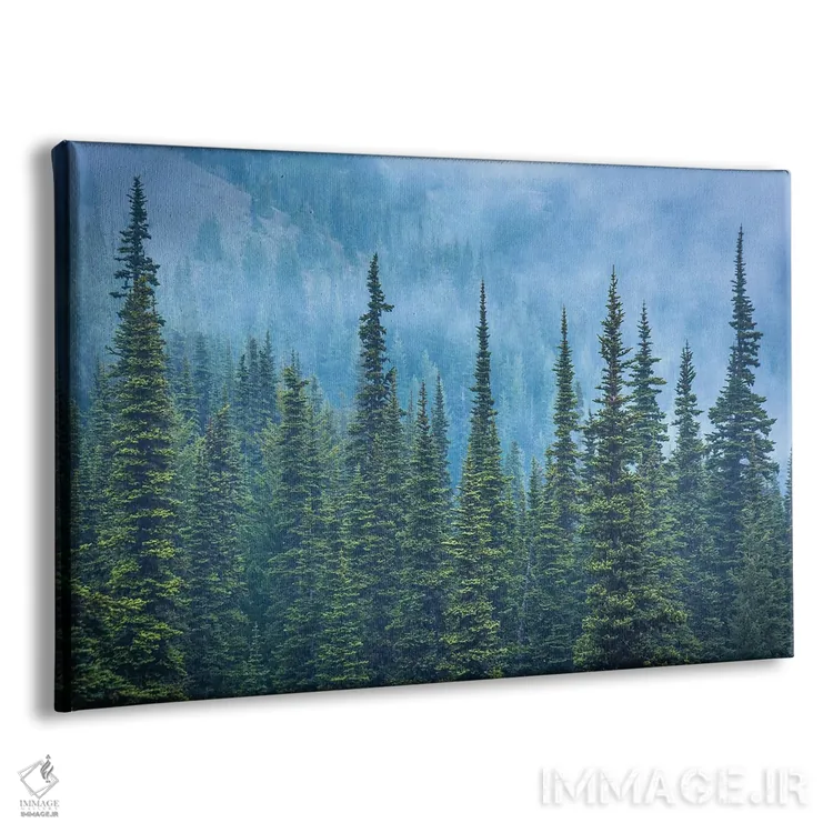 تابلو درختان کاج در رشتهکوه هاریکن اثر جان بیلوس - نمای پرسپکتیو محصول
