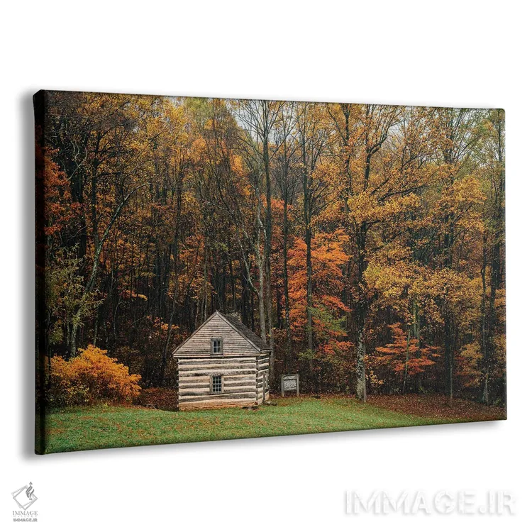 تابلو کلبهٔ تنها اثر جان بیلوس - نمای پرسپکتیو محصول