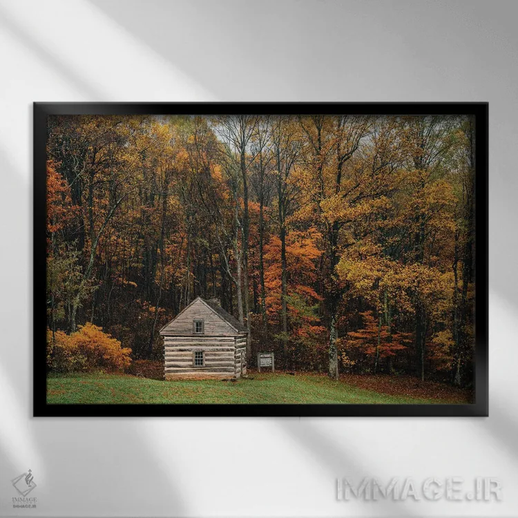 تابلو کلبهٔ تنها اثر جان بیلوس - نمای قابدار مشکی