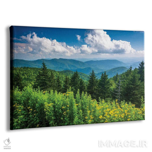 تابلو خوش و بش اثر جان بیلوس - نمای پرسپکتیو محصول