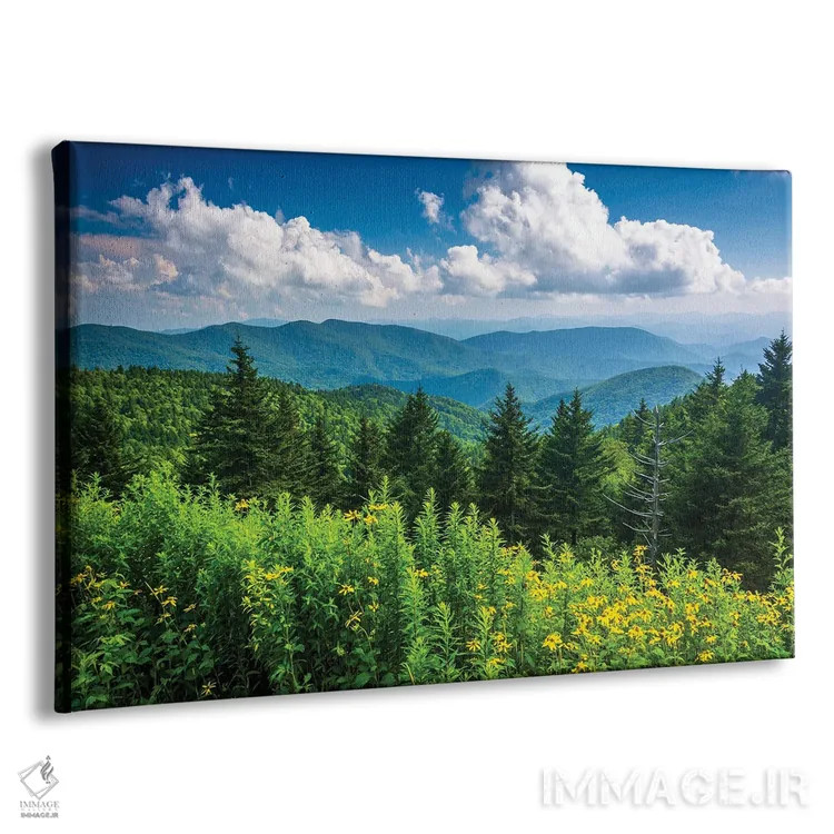 تابلو خوش و بش اثر جان بیلوس - نمای پرسپکتیو محصول